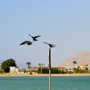 Опубликовано 30/11/25