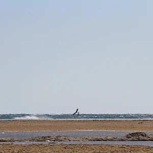 Опубликовано 03/12/25