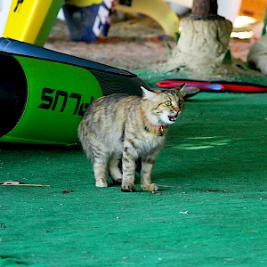 Опубликовано 03/12/25